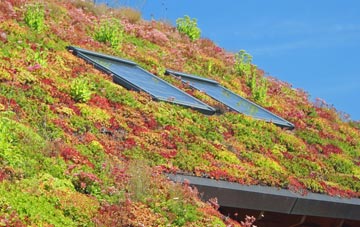 Alderton Fields living roof systems